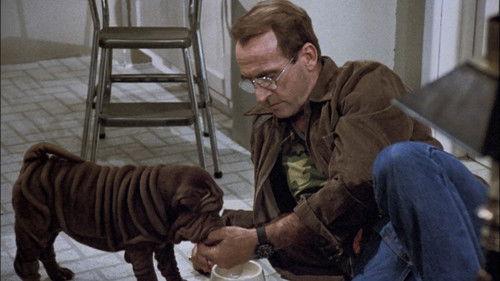 Hill Street Blues Season 6 Episode 5 - Somewhere Over the Rambo