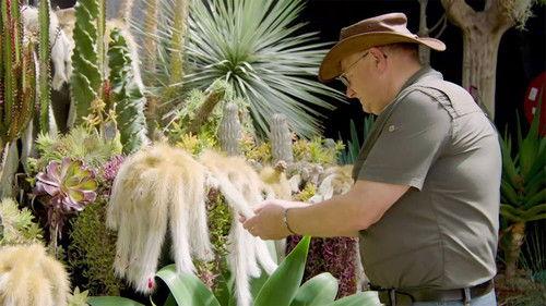 Gardening Australia Season 34 Episode 17 - Episode 17 Habitat, Camellia, Seedling, Herbs & Collector