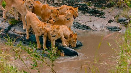 Brotherhood of Lions Season 1 Episode 1 - The Route to the Top