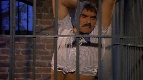 Evening Shade Season 3 Episode 21 - Cousins Behind Bars