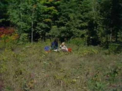 The Littlest Hobo Season 2 Episode 18 - The Trail of No Return