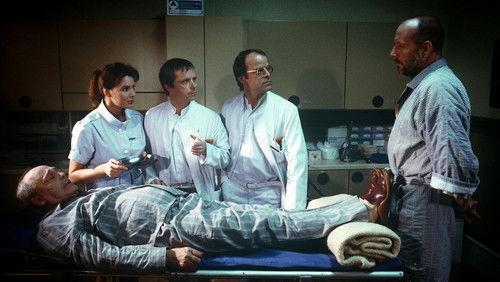 Die Schwarzwaldklinik Season 3 Episode 15 - Episode 15