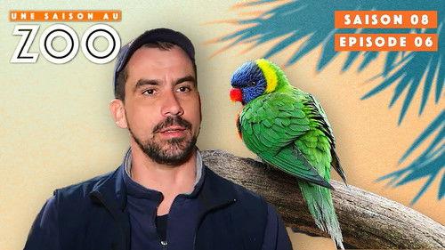 Une saison au zoo Season 8 Episode 6 - Episode 6