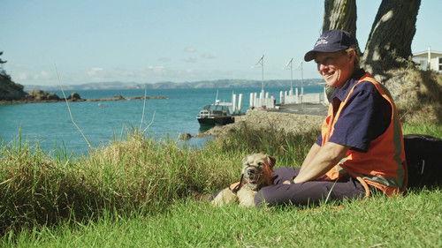 Dog Squad Season 13 Episode 10 - Episode 10