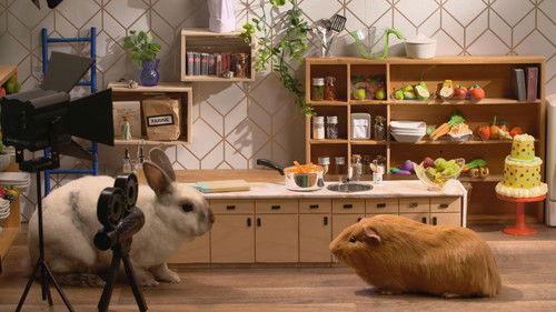 Cochon dingue Season 6 Episode 19 - Episode 19