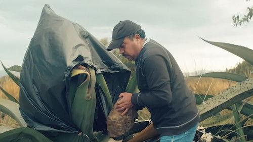 Taco Chronicles Season 1 Episode 5 - Barbacoa