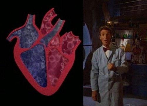 Bill Nye the Science Guy Season 4 Episode 16 - Heart