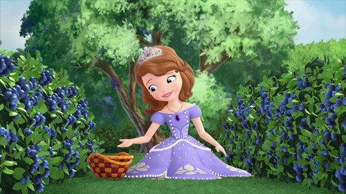 Sofia the First Season 2 Episode 9 - Gizmo Gwen