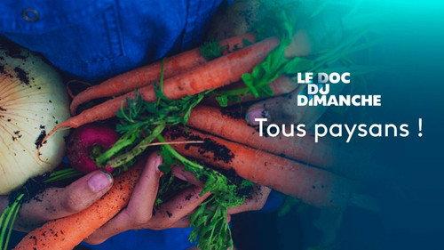 Le Doc du dimanche Season 11 Episode 14 - Episode 14