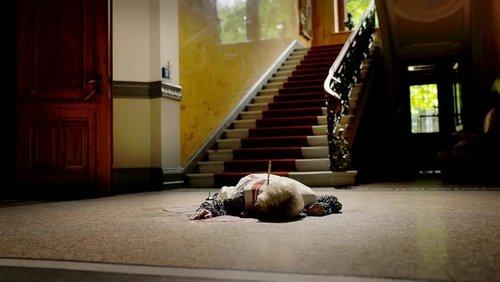 Background image for Hair Splitting