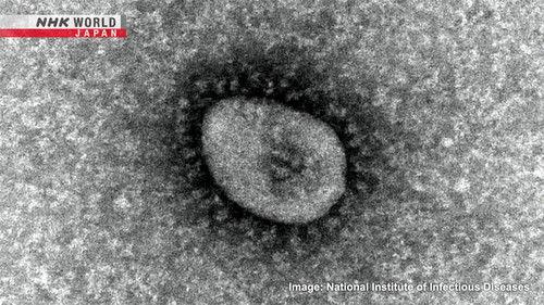 Learn Japanese from the News Season 2 Episode 3 - Japan to Downgrade COVID Classification on May 8