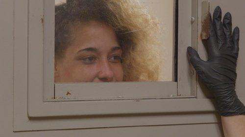 Background image for Love at First Transport