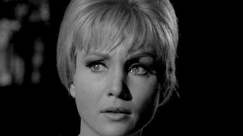 The Man from U.N.C.L.E. Season 1 Episode 20 - The Bow-Wow Affair