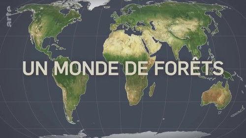 Mapping the World Season 31 Episode 13 - A World of Forests