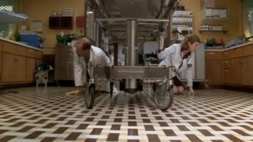 ER Season 5 Episode 9 - Good Luck, Ruth Johnson