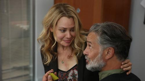 Boomerang Season 3 Episode 11 - Episode 11