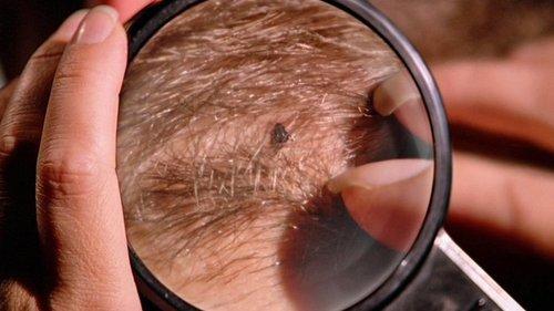 Stargate Universe Season 1 Episode 17 - Pain