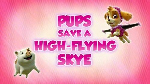 PAW Patrol Season 5 Episode 9 - Pups Save a High-Flying Skye