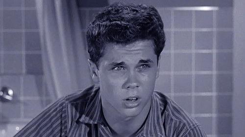 Leave It to Beaver Season 3 Episode 2 - Beaver Takes a Bath