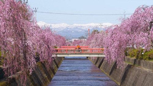 Cycle Around Japan Season 6 Episode 5 - Yamagata - Call of The Wild