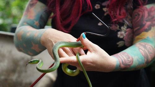 Snake City Season 8 Episode 5 - Mamba Madness