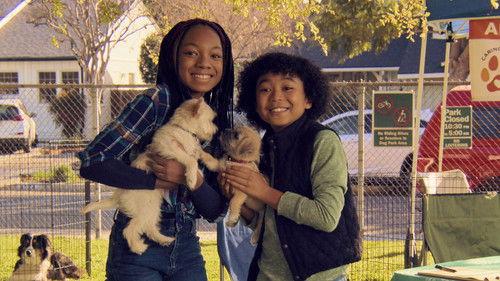 Puppy Place Season 2 Episode 2 - Teeny & Tiny