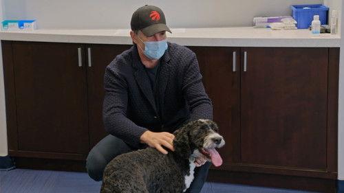 All or Nothing: Toronto Maple Leafs Season 1 Episode 3 - Blue Swan