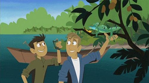 Wild Kratts Season 1 Episode 16 - Walk On the Wetside