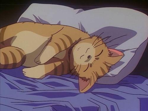 Crest of the Stars Season 2 Episode 6 - Remembrance Dinner