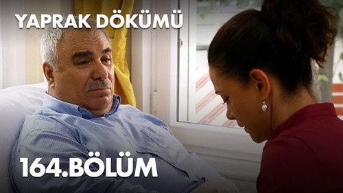 Falling Leaves Season 5 Episode 164 - Episode 164