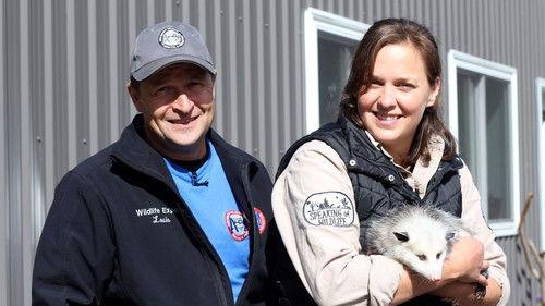 Louis and the Urban Jungle Season 2 Episode 12 - Episode 12