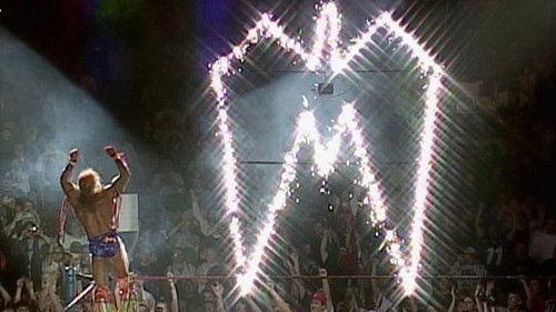 Raw Season 4 Episode 17 - Raw - Apr. 29, 1996