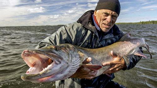 River Monsters Season 7 Episode 1 - Canadian Horror