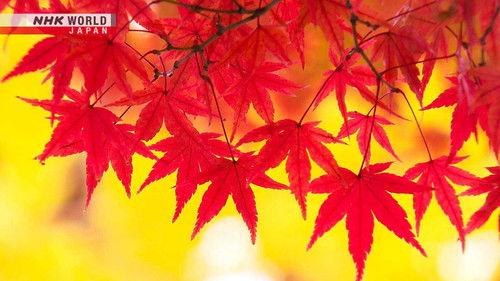 Core Kyoto Season 13 Episode 2 - Fall in Saga-Arashiyama: The Beauty and Colors of Change