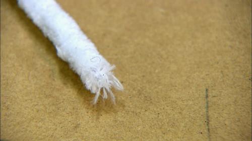 How It's Made Season 18 Episode 6 - Pipe Cleaners, Blue Stilton Cheese, Smart Electric Meters, Telescopes