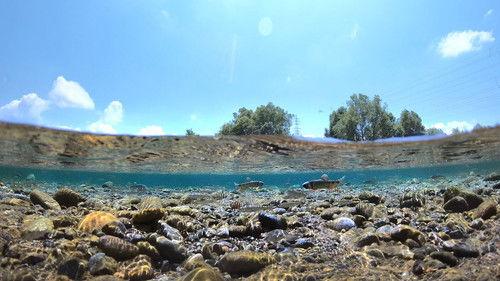 Hometown Stories Season 10 Episode 20 - Light on a Raging River