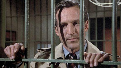 Hill Street Blues Season 3 Episode 9 - A Hair of the Dog