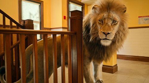 Jane Season 2 Episode 5 - Panthera leo