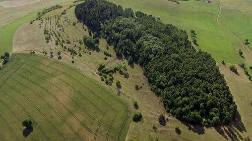 Wild Germany Season 6 Episode 5 - Episode 5