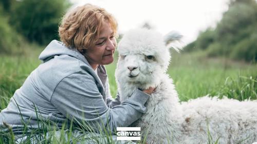 Background image for Martine