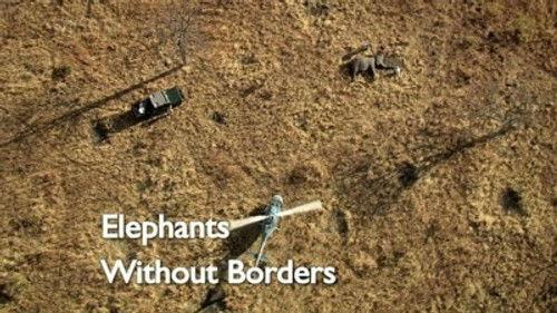 Natural World Season 28 Episode 11 - Elephants without Borders