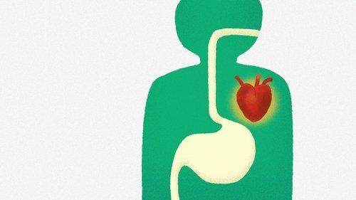 Explained Season 1 Episode 6 - Why Diets Fail