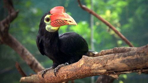 Background image for Episode 5