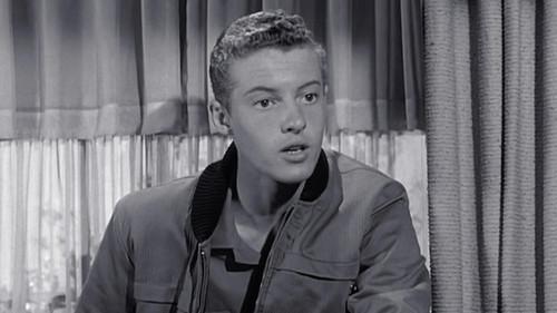 Leave It to Beaver Season 4 Episode 13 - Beaver's Accordian