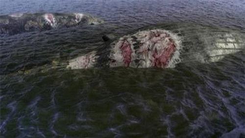 Surface Season 1 Episode 4 - Episode 4