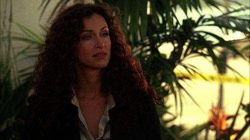 CSI: Miami Season 3 Episode 10 - After The Fall