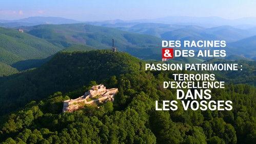 Des racines & des ailes Season 27 Episode 8 - Episode 8