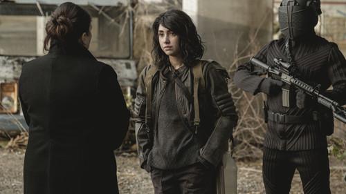 Background image for Konsekans