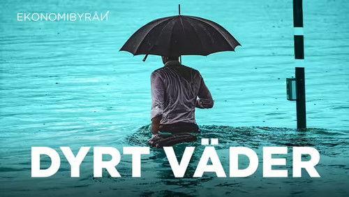 Ekonomibyrån Season 8 Episode 2 - Episode 2