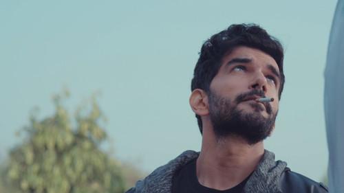 Background image for A Bitch's Best Friend